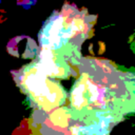 露营基地瞄准了“活力老人”