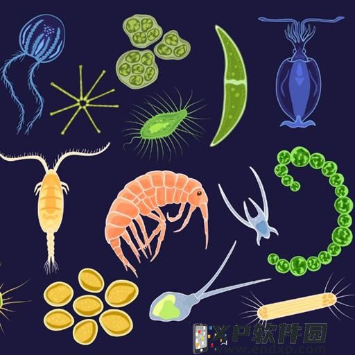 孔子故里：古树“活化石”变身旅游“金名片”