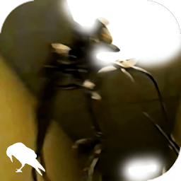 “有意思”才“有市场”